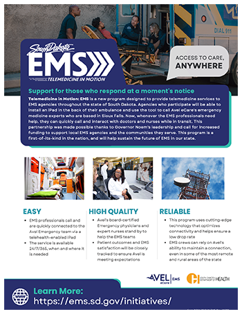 EMS flyer thumbnail